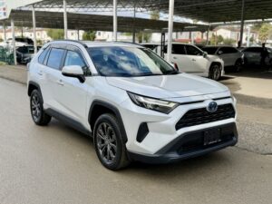 Toyota Rav4 Hibrit