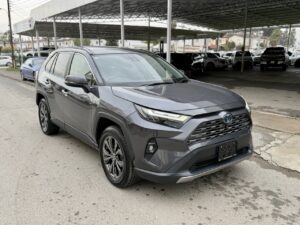 Toyota Rav4 Hıbrıt