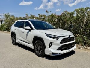 TOYOTA RAV4 MODELLISTA