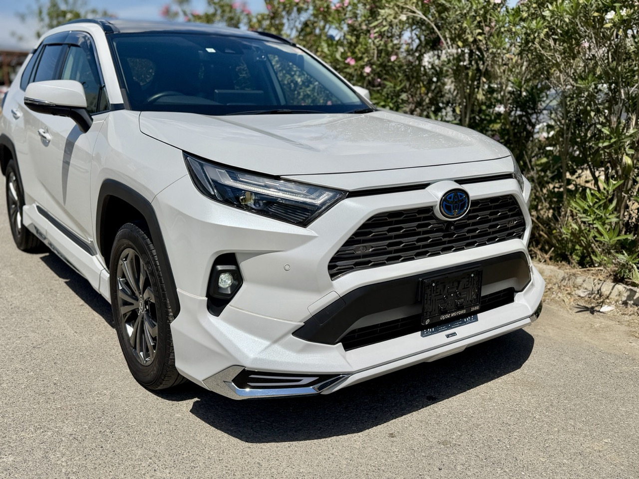 
								TOYOTA RAV4 MODELLISTA full									