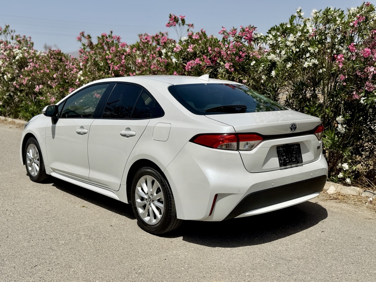
								TOYOTA COROLLA HIBRIT full									
