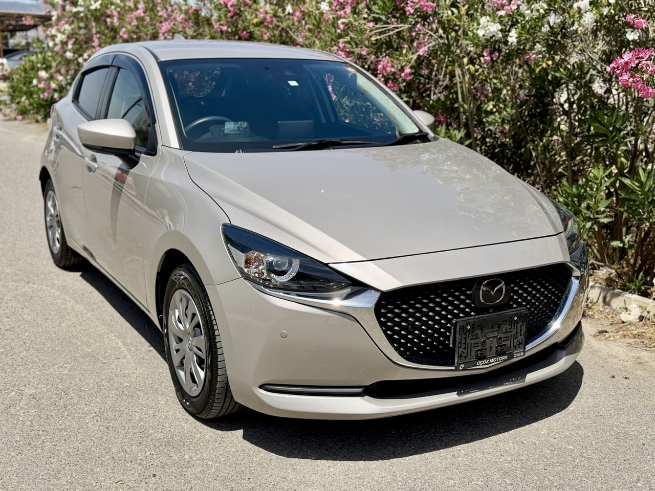 
								MAZDA 2 PROACTIVE full									