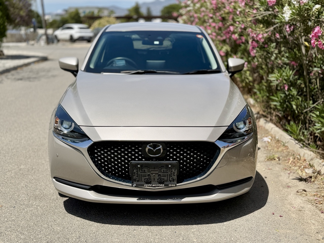 
								MAZDA 2 PROACTIVE full									