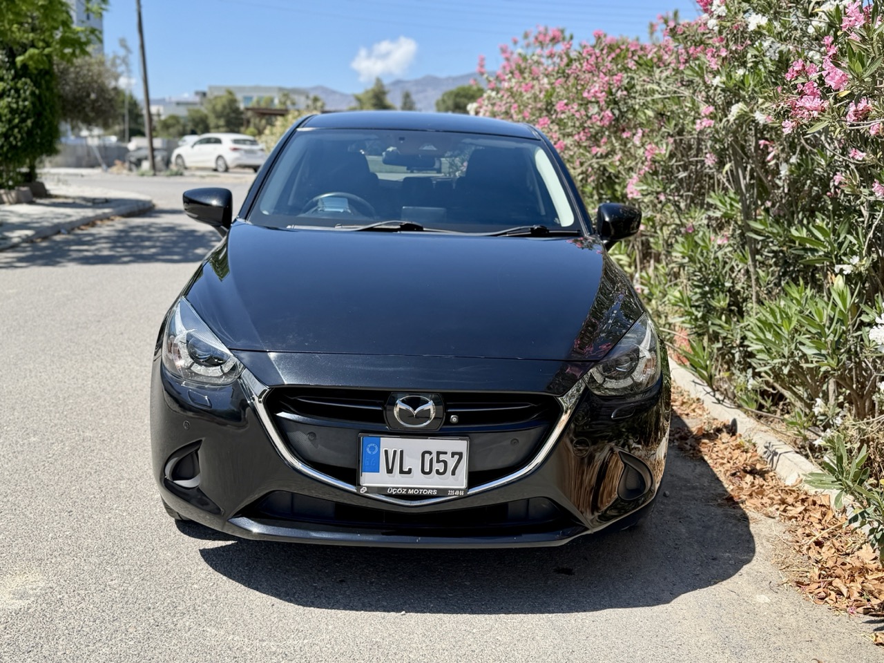 
								MAZDA DEMIO full									