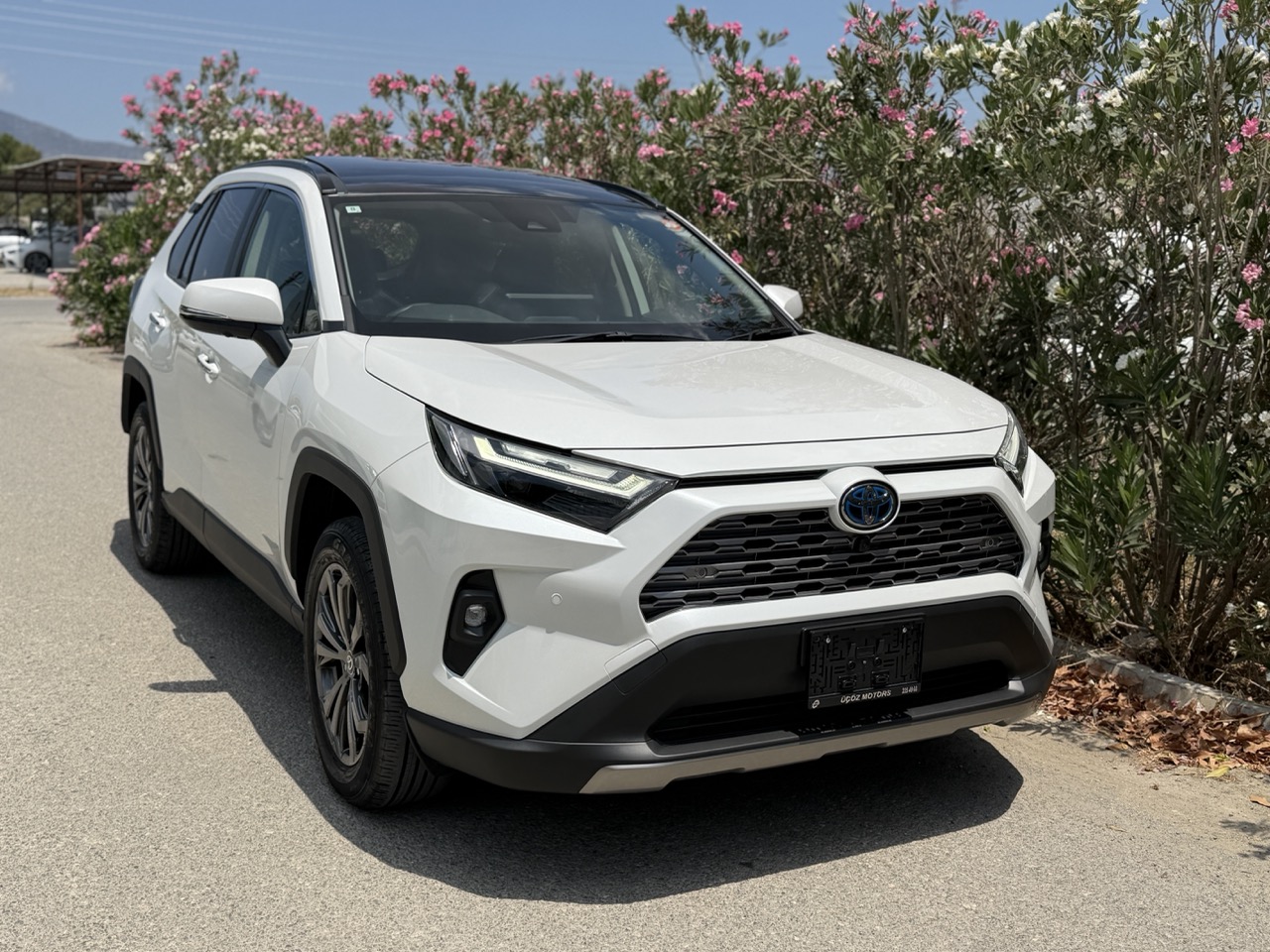 
								Toyota RAV4 PLUG IN HIBRIT full									