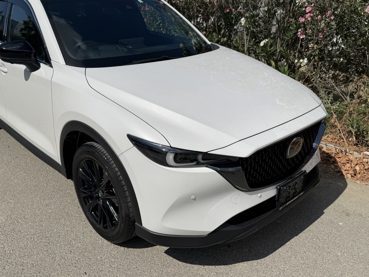 
								MAZDA CX-8 full									