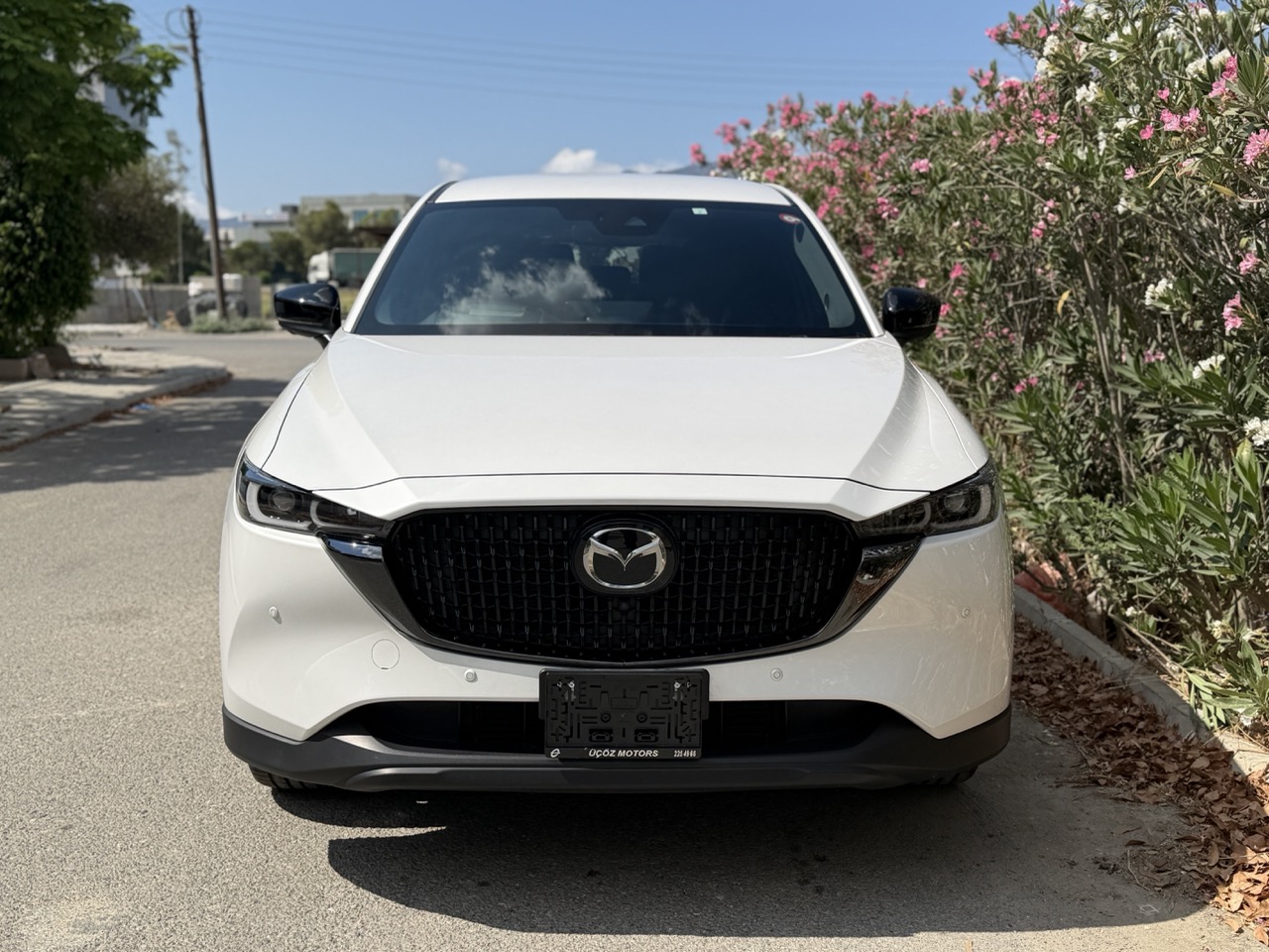 
								MAZDA CX-8 full									