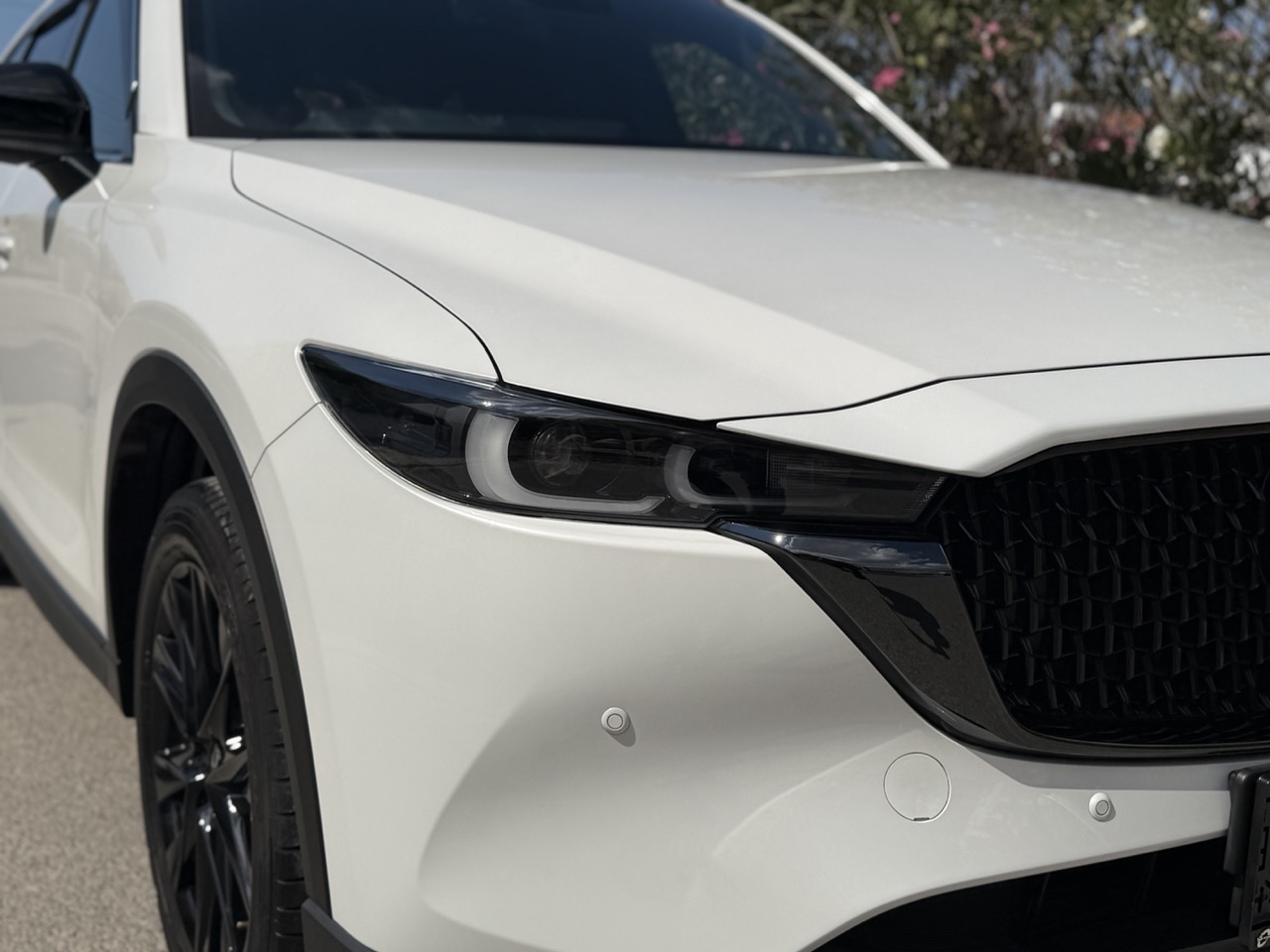 
								MAZDA CX-8 full									