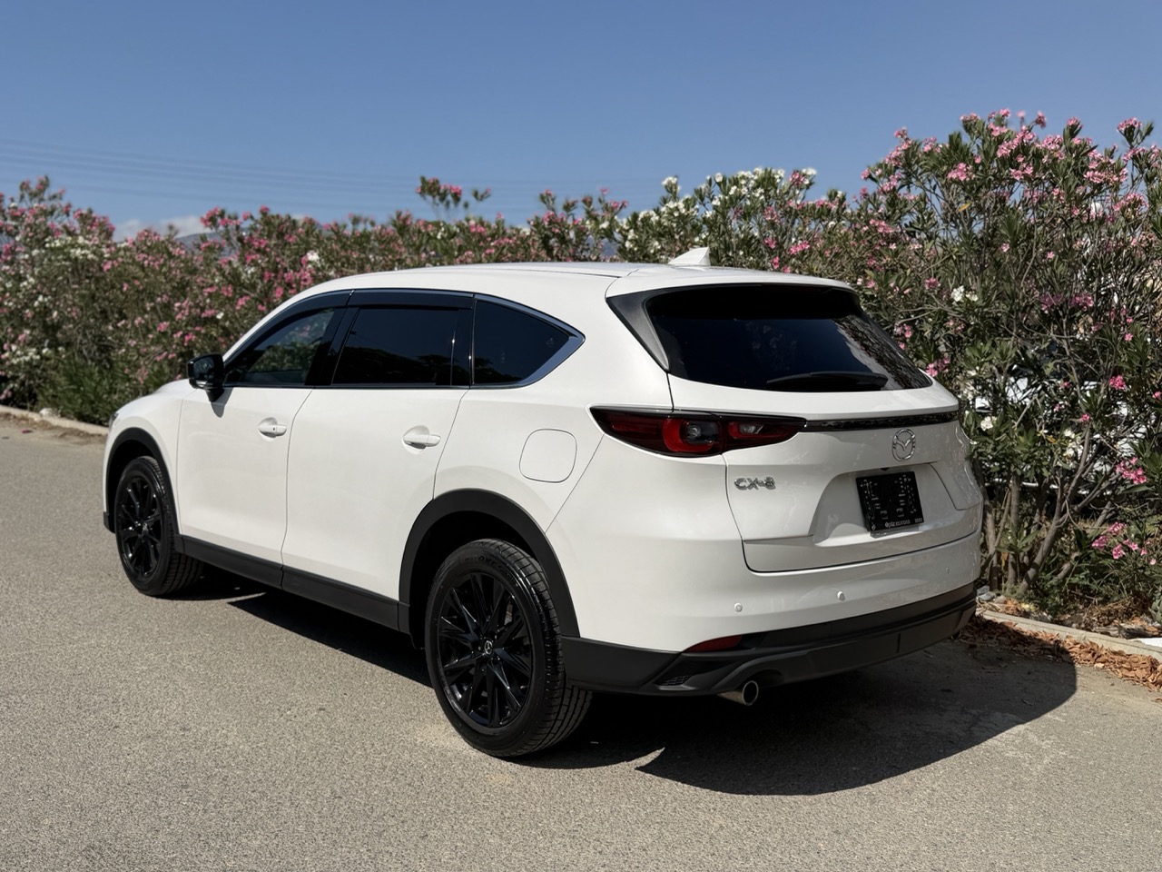 
								MAZDA CX-8 full									