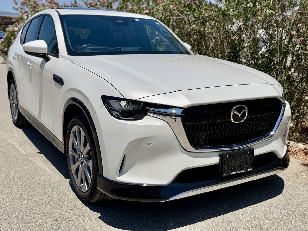 
								MAZDA CX-60 full									