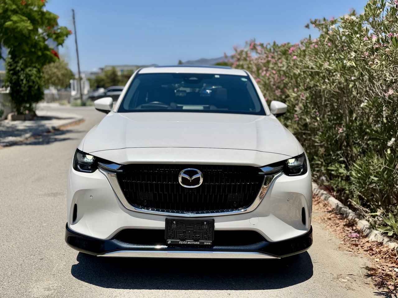 
								MAZDA CX-60 full									