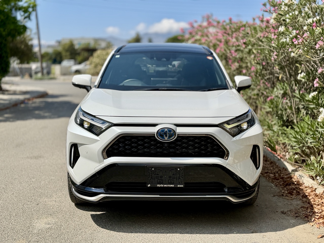 
								TOYOTA RAV4 PLUG IN HIBRIT full									