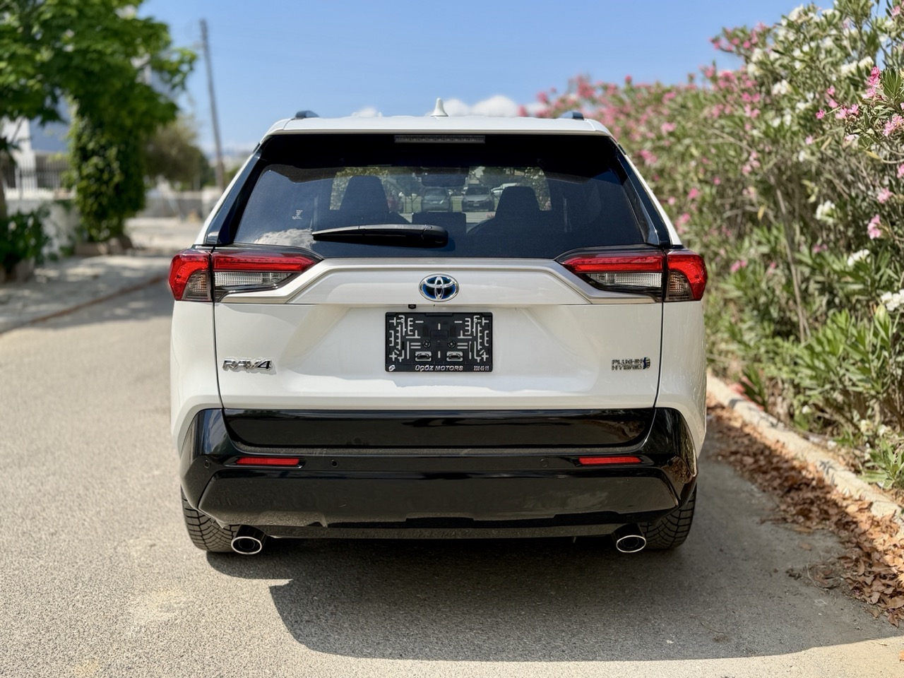 
								TOYOTA RAV4 PLUG IN HIBRIT full									
