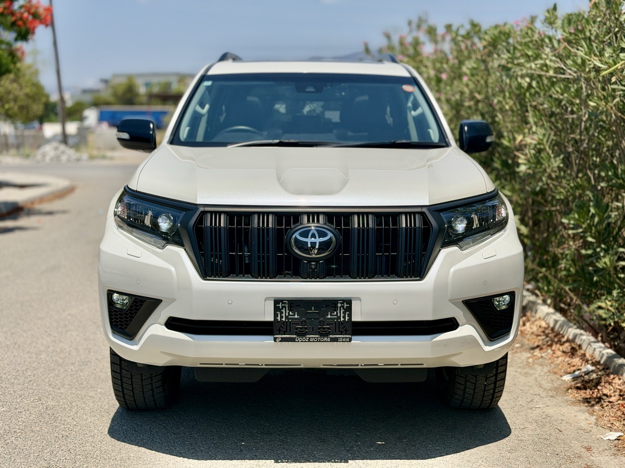 
								TOYOTA PRADO full									