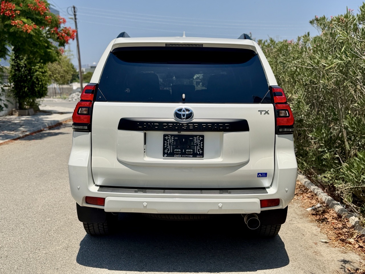 
								TOYOTA PRADO full									