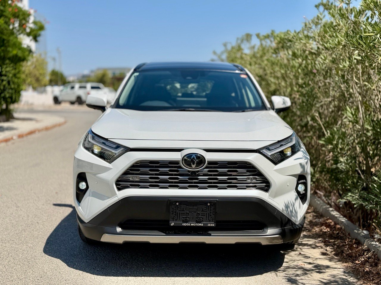 
								TOYOTA RAV4 full									