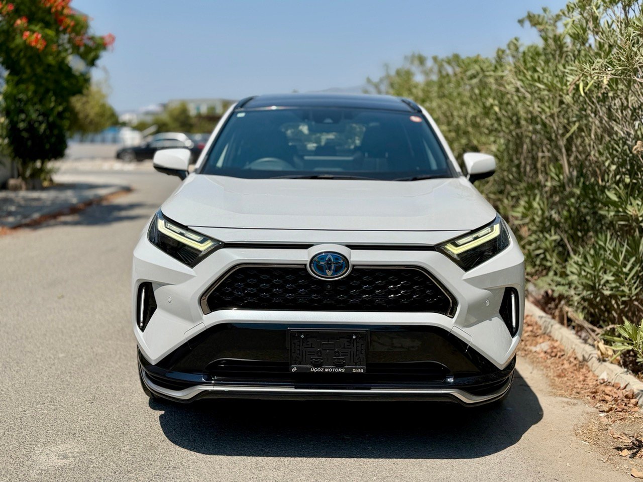 
								TOYOTA RAV4 PLUG IN HYBIRD full									