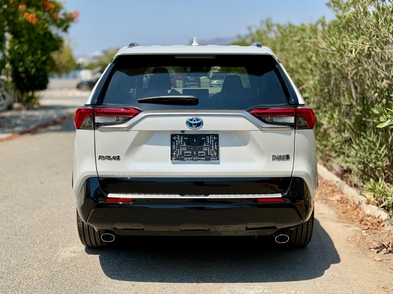 
								TOYOTA RAV4 PLUG IN HYBIRD full									