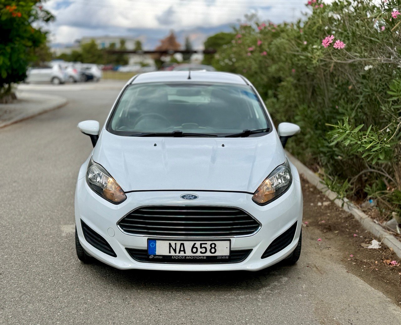 
Ford Fiesta full									